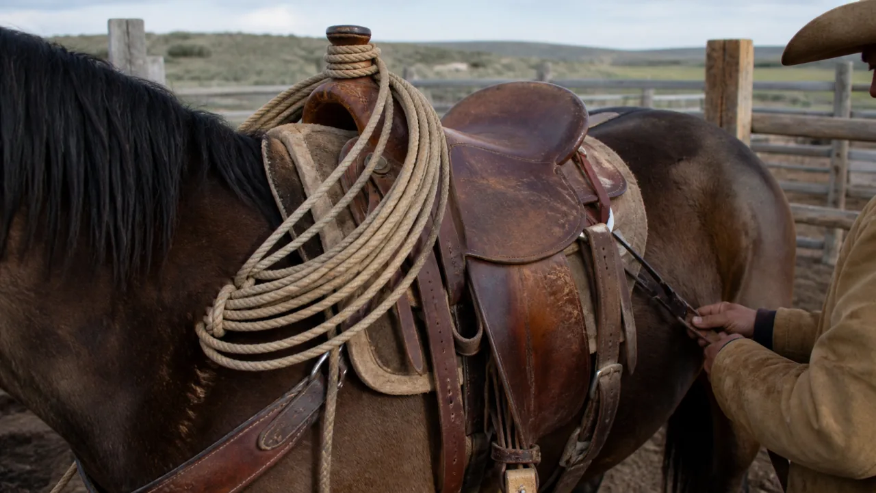 Why Ranch Hands Choose a Wade Saddle guide thumbnail